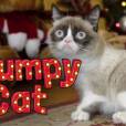 Grumpy Cat, Colonel Meow, Oskar the Blind Cat, Nala Cat et Hamilton the Hipster Cat fêtent Noël pour Friskies