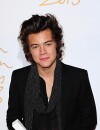 Harry Styles aux Brit Fashion Awards 2013