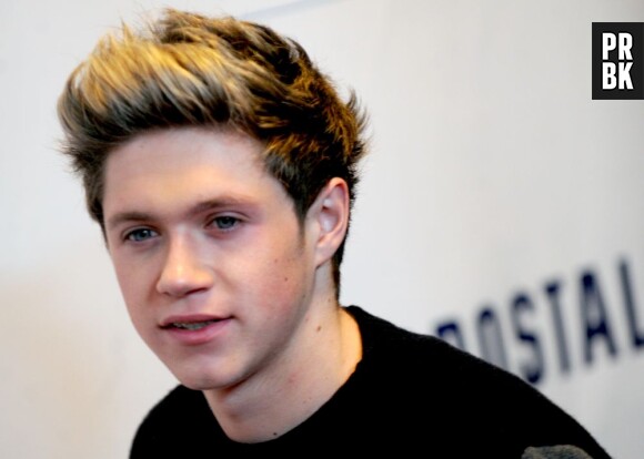 Niall Horan : une opération du genou avant de partir en tournée avec les One Direction ?