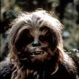  Star Wars 7 : Peter Mayhew reprend son r&ocirc;le de Chewbacca 