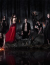  Vampire Diaries saison 5 : le Stelena de retour &agrave; cause de la proph&eacute;tie ? 
