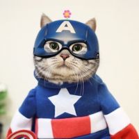 [FUN] Zhumao KeLe, le chat star du web qui se déguise en super-héros !
