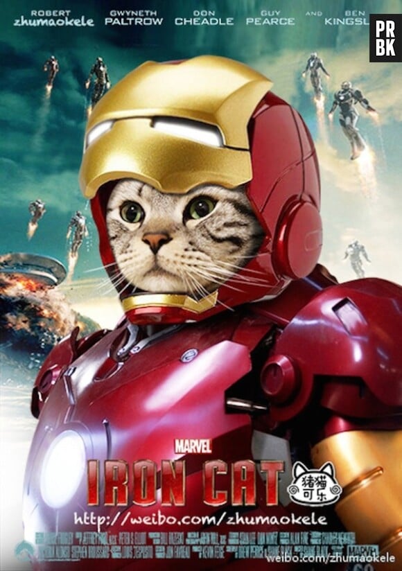 Zhumao Kele : le nouveau chat-star du web en Iron Man