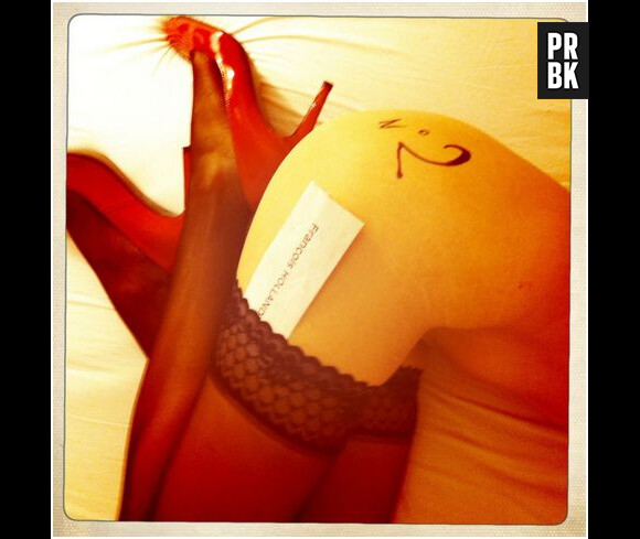 Frédérique Bel nue en mai 2012 pour soutenir François Hollande