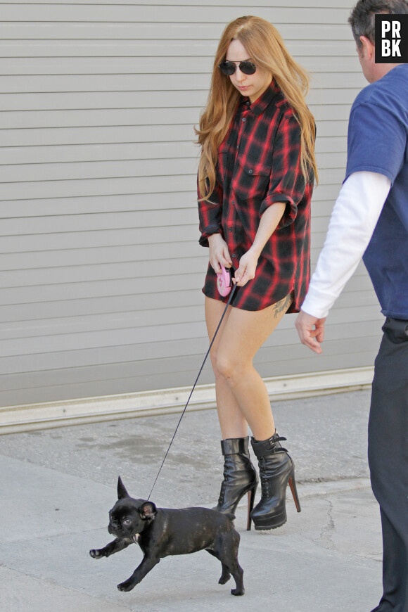 Lady Gaga à demi nue et sans pantalon pour promener son chien, Asia, le 23 mai 2014 au Canada