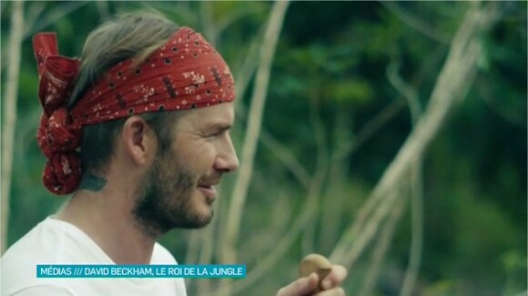 David Beckham en terre inconnue : serpents, muscles et sourires en Amazonie