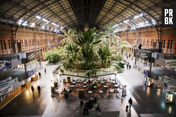 Jardin tropical à la gare d'Atocha, Madrid