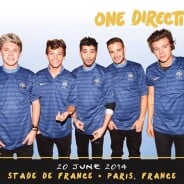 One Direction au Stade de France : retour sur 8 moments insolites en concerts