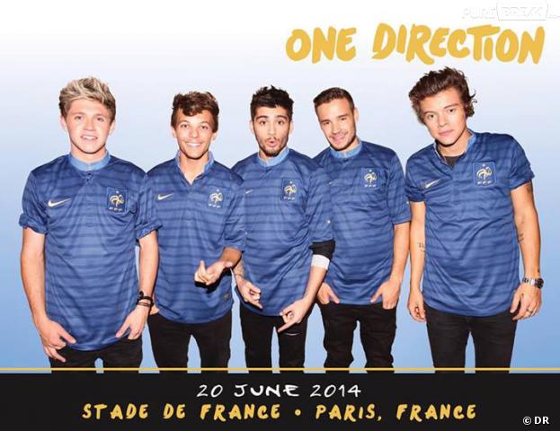 One Direction au Stade de France le 21 juin 2014