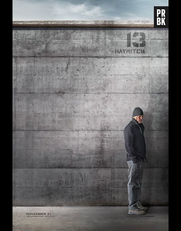 Hunger Gales 3 : Woody Harrelson (Haymitch) sur une affiche