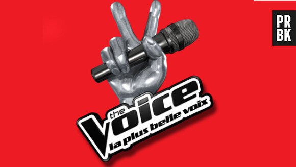The Voice 4 : le jury va encore changer