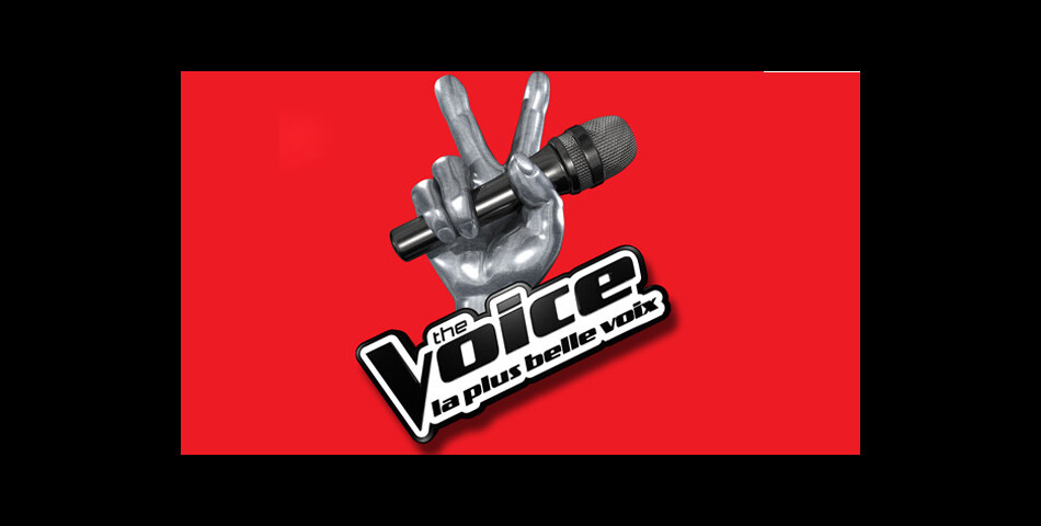  The Voice 4 : le jury va encore changer 