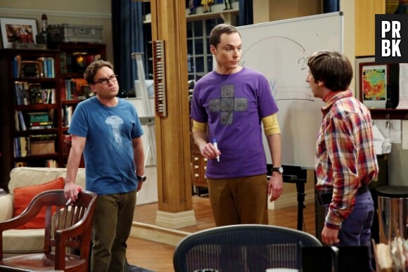 The Big Bang Theory saison 8 : problème chez les geeks