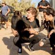 One Direction : Steal my girl, le clip supprimé de VEVO et Youtube à cause de la participation d'un singe ?