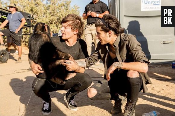 One Direction : Steal my girl, le clip supprimé de VEVO et Youtube à cause de la participation d'un singe ?