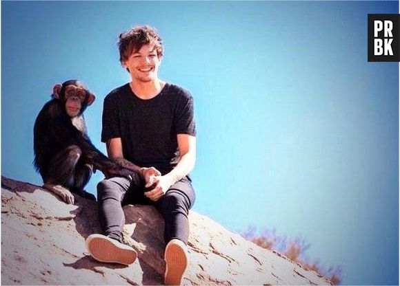 One Direction : Steal my girl, le clip supprimé de VEVO et Youtube à cause de la participation d'un singe ?