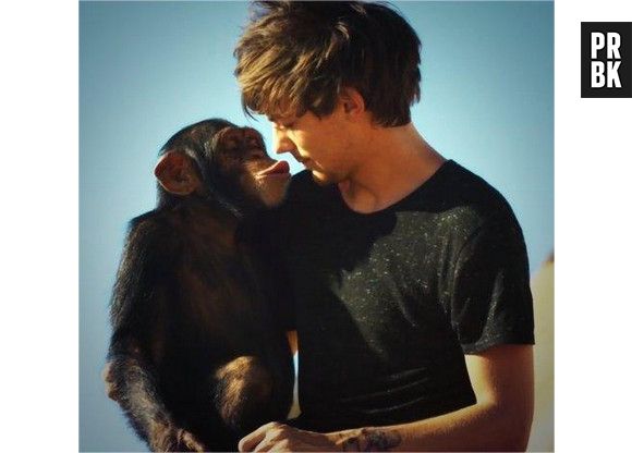 One Direction : Steal my girl, le clip supprimé de VEVO et Youtube à cause de la participation d'un singe ?