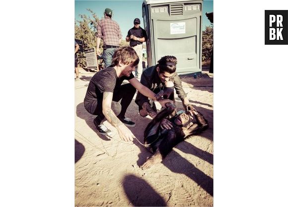 One Direction : Steal my girl, le clip supprimé de VEVO et Youtube à cause de la participation d'un singe ?