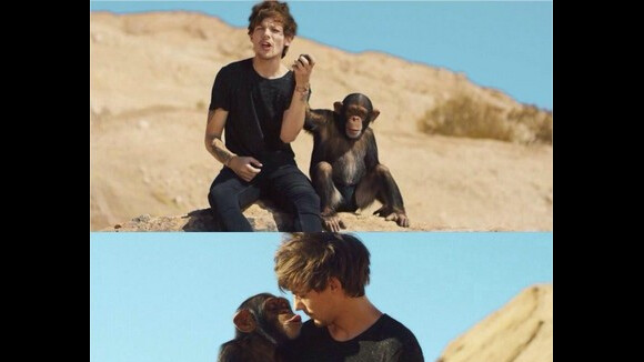 One Direction : le clip Steal My Girl censuré et supprimé après un record ?