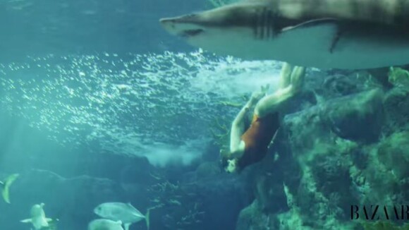 Rihanna sexy... même dans un aquarium rempli de requins !