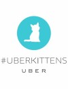 Uber lance un service de livraison de chatons en Australie