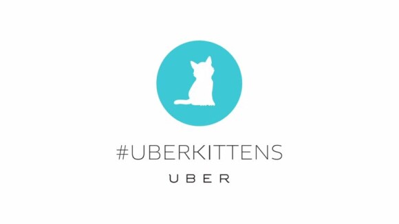Uber lance un service de livraison de... chatons !