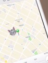  Uber : un service de livraison de chatons lanc&eacute; en Australie 
