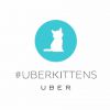 UberKittens : le service de livraison de chatons d'Uber