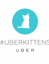  UberKittens : le service de livraison de chatons d'Uber 