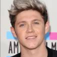  Niall Horan aux American Music Awards 2013 