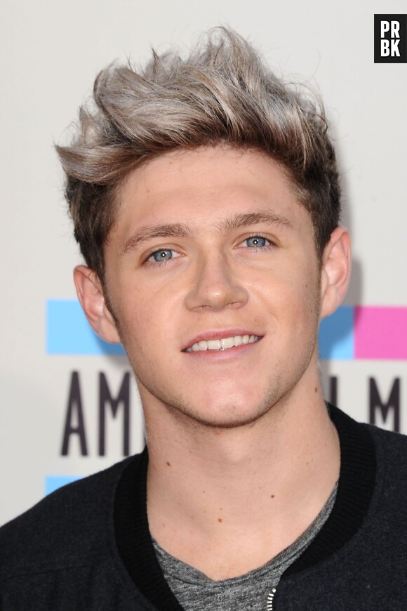 Niall Horan aux American Music Awards 2013