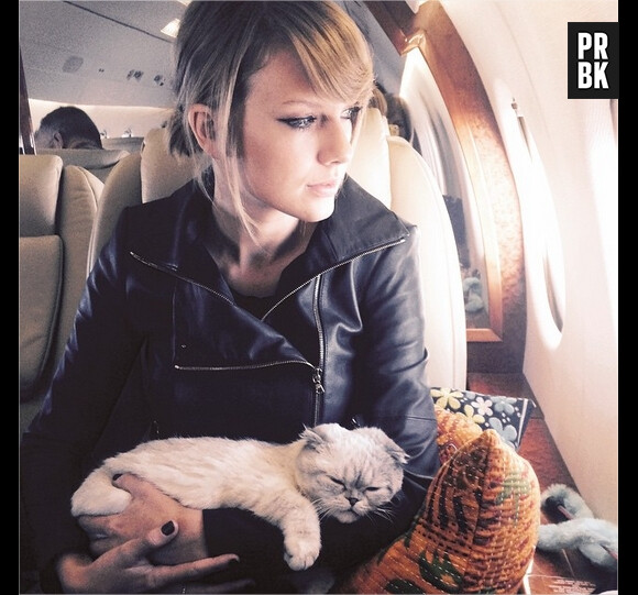 Taylor Swift et Olivia Benson en avion