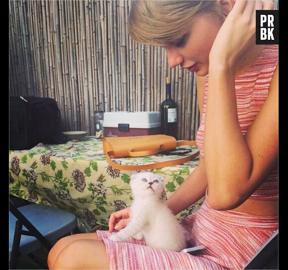 Taylor Swift présente sur son chat Olivia Benson sur Instagram