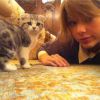 Taylor Swift et son chat Meredith en 2012