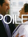  Grey's Anatomy saison 11 : le couple Meredith/Derek en danger ? 