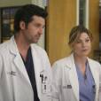  Grey's Anatomy saison 11 : Ellen Pompeo et Patrick Dempsey sur une photo 