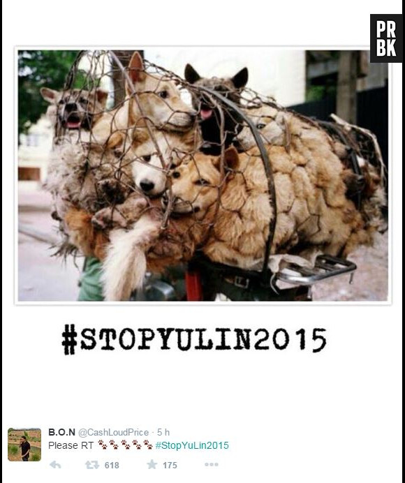 #StopYuLin2015 : le monde se mobilise pour arrêter le massacre des chats et des chiens en Chine
