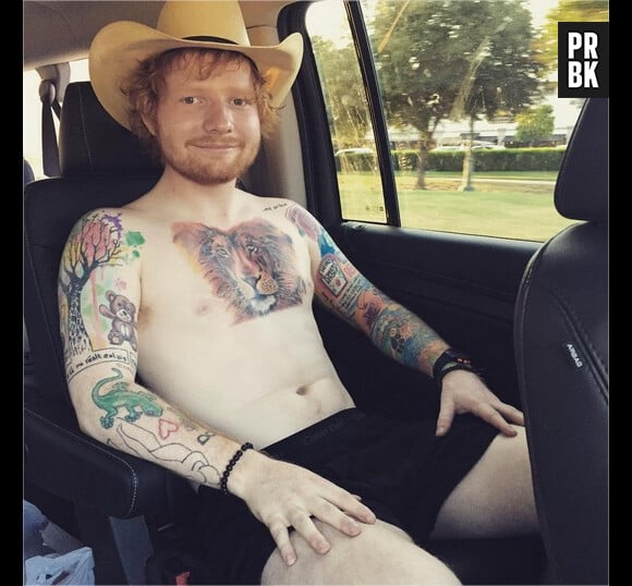 Ed Sheeran : torse nu, tatoué et en caleçon sur Instagram