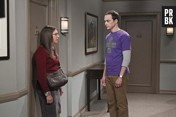 The Big Bang Theory saison 9, épisode 1 : Sheldon et Amy sur une photo