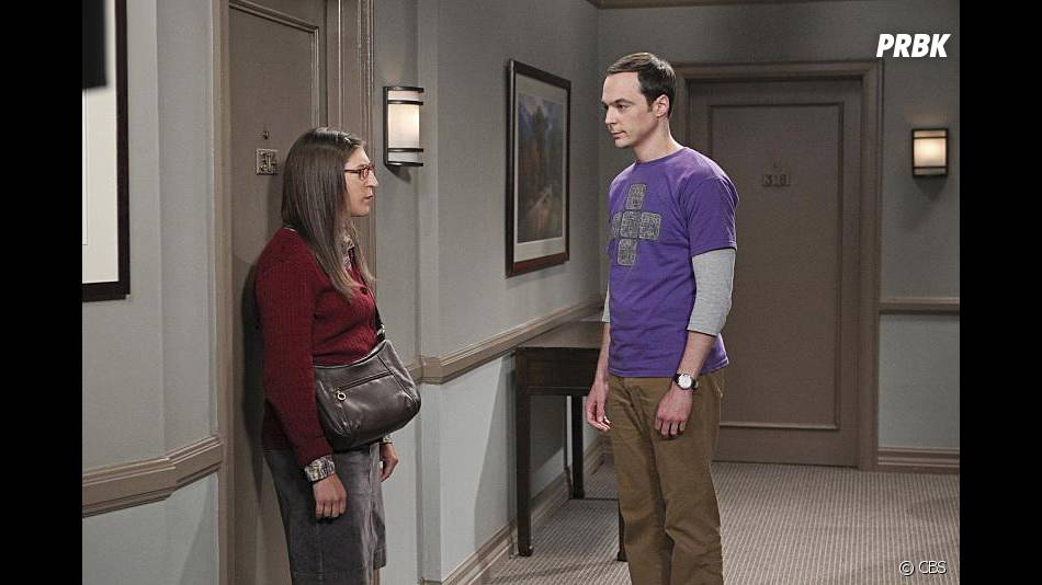 The Big Bang Theory saison 9, épisode 1 : Sheldon et Amy sur une photo