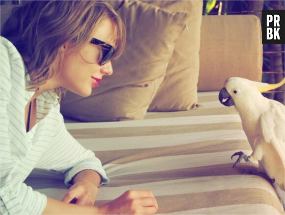 Taylor Swift pose avec un perroquer sur Instagram