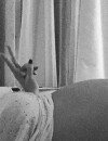 Aurélie Van Daelen dévoile son gros baby-bump sur Instagram