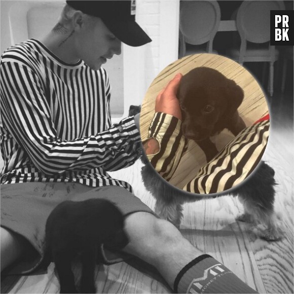 Justin Bieber présente Phil, son nouveau chien, sur Instagram