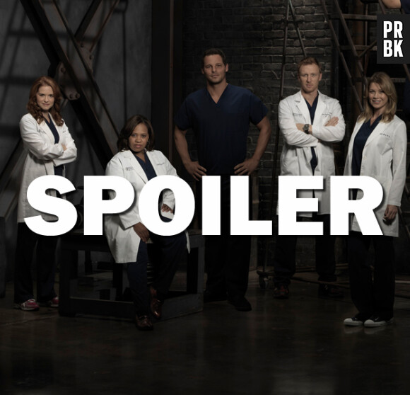 Grey's Anatomy saison 12 : 5 choses à retenir du final