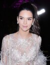 Kendall Jenner kidnapée à Cannes pendant le festival 2016