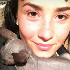 Demi Lovato adopte un chat... et le rend dès le lendemain
