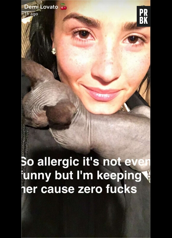 Demi Lovato a dû rendre son chat après un jour parce qu'elle était allergique