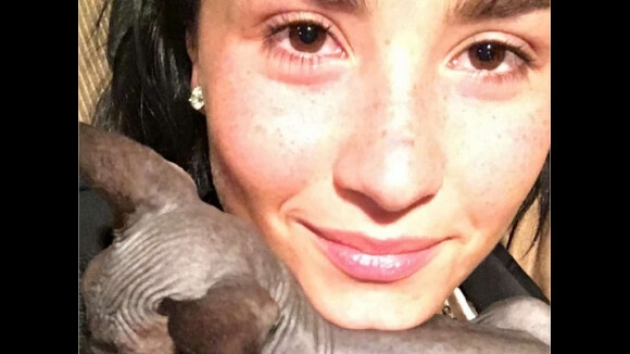 Demi Lovato adopte un chat... et le rend dès le lendemain