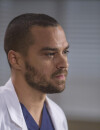Grey's Anatomy saison 13 : Jesse Williams donne son avis sur le couple April/Jackson