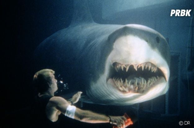 instinct de survie et les requins les plus terrifiants du cinema purebreak